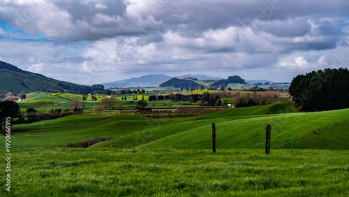 Rolling Green Hills and Mountain Vistas, New Zealand Rural Landscape