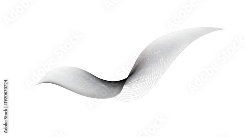 Abstract wave black and white smooth curve modern minimal dynamic line elegant shape creative design isolated background futuristic artistic flow