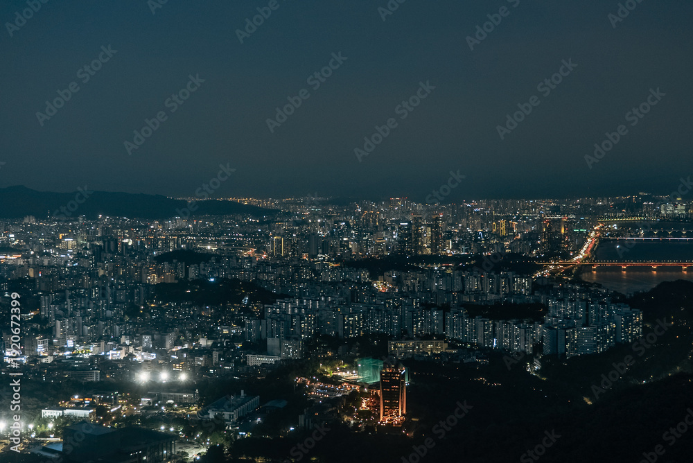 Fototapeta premium N Seoul Tower night city lights view