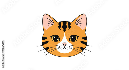 Close up face of an orange tabby cat with big dark eyes, black stripes, and long whiskers against a white background.