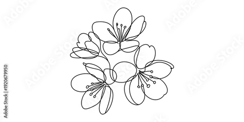 A simple black and white line art illustration of a cluster of delicate spring flowers Vector, illustration