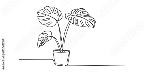 Continuous line drawing of a monstera deliciosa plant in a ceramic pot on a white background Vector, illustration