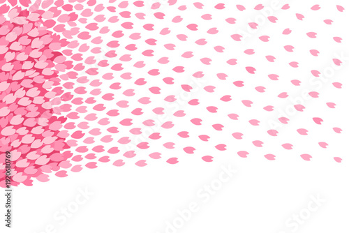 Pink flower petals scatter on a white background during springtime in a park