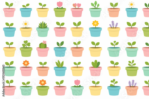 Colorful plant pots arranged in a neat pattern showing different types of plants in a bright setting