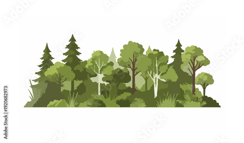 Dense forest landscape with diverse plant life flat vector illustration isolated on white