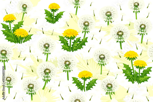Dandelions and their seed heads grow in a pattern on a light background during daytime while facing sunlight