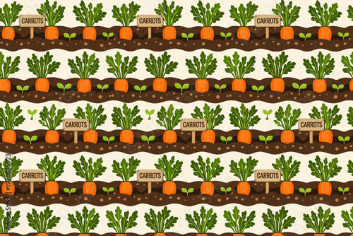 Carrots and greens growing in rows with signs in a garden during sunny weather