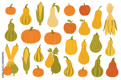 Various types of squash, fruits, and corn arranged in a colorful display during the autumn season