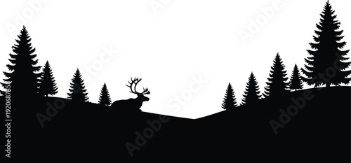 Deer in forest silhouette at dusk