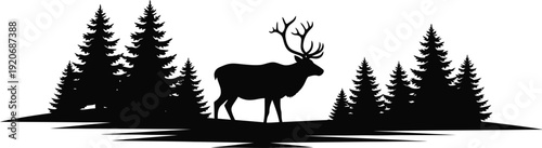 Elk silhouette in pine forest landscape