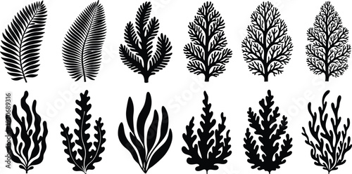 Collection of black botanical silhouettes including tropical fern leaves, evergreen pine branches, and aquatic seaweed plants for nature wildlife graphic design icons and ornaments