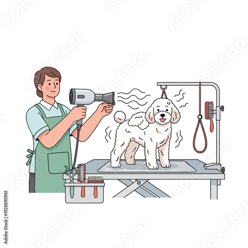 Professional groomer drying a fluffy white poodle on a grooming table with a hairdryer
