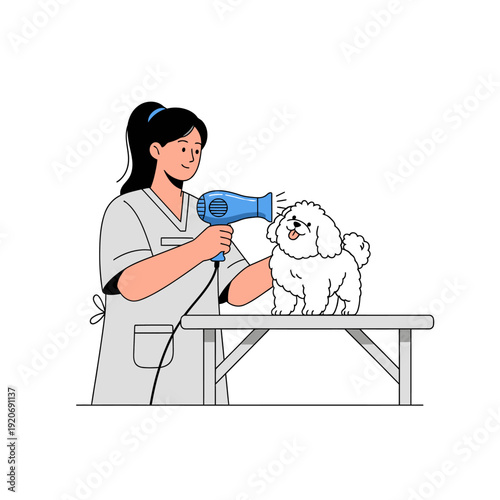 Groomer drying fluffy white dog with hairdryer on grooming table, happy pet care