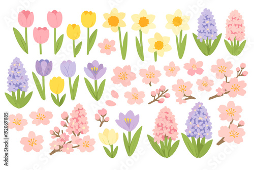 Colorful flowers in various shapes and sizes arranged in neat groups on a white background for springtime celebrations