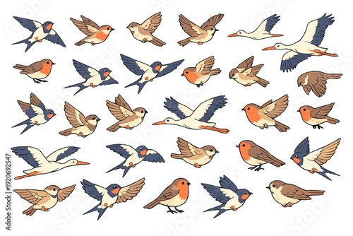 Different types of birds flying and resting in various positions on a bright background during daytime hours