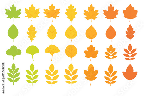 Colorful leaves in various shapes and sizes arranged in a neat pattern on a white background during autumn season
