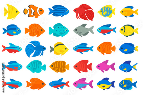 Colorful fish swim in various shapes and sizes, showcasing marine life in a bright underwater scene with many species
