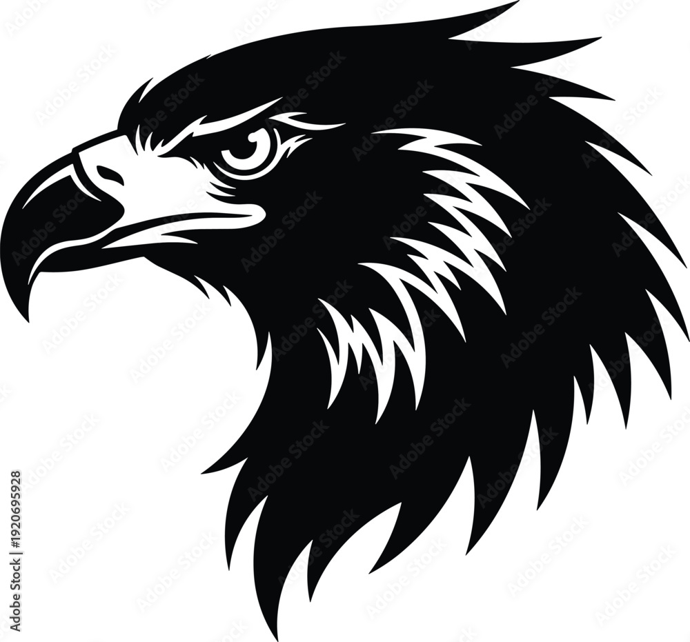 Fototapeta premium Black and white eagle head with sharp feathers and beak bird
