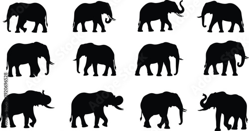 Black silhouettes of elephants in various poses white background animals