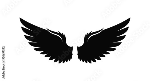 Dramatic black wings spread wide against a white backdrop silhouette