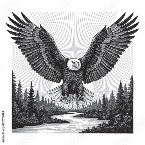 Eagle wings spread laser engraving design, vintage woodcut engraving vector illustration, detailed hand drawn ink line art flying raptor over forest landscape for CNC etching