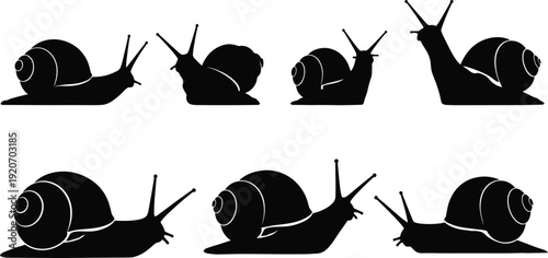 Vector silhouettes of garden snails in various crawling poses isolated on white background, black gastropod mollusk collection for nature and biology design projects