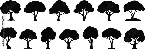 Vector silhouettes of various deciduous trees set isolated on white background, black tree collection for landscape architecture and nature design projects