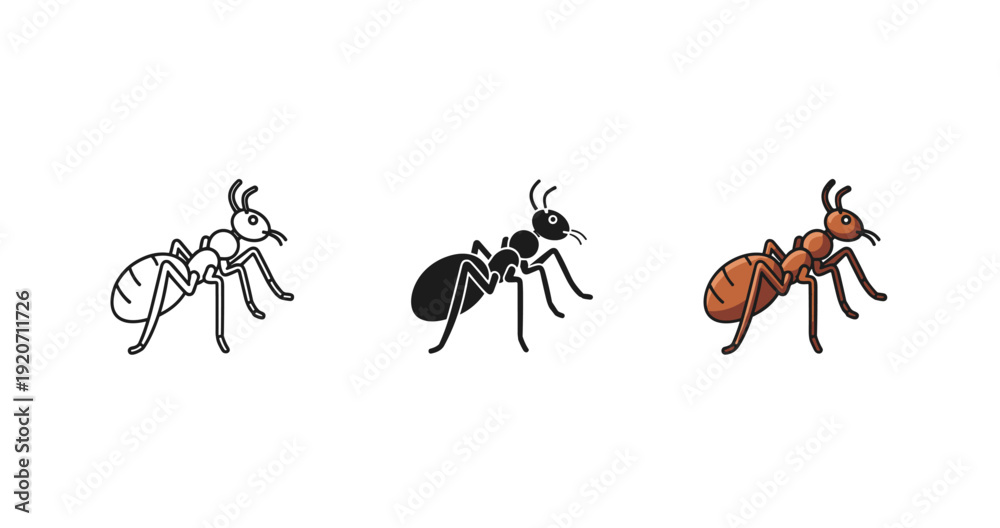 Fototapeta premium Three stylized ant illustrations in outline, black, and colored versions