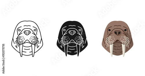 Monochrome and color walrus illustrations on white background