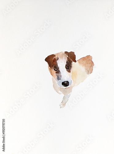 Foto Watercolor illustration of a cute Jack Russell Terrier puppy looking up with cur
