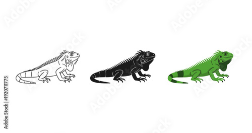 Iguana design trio: outline, silhouette, and colorful versions on white background