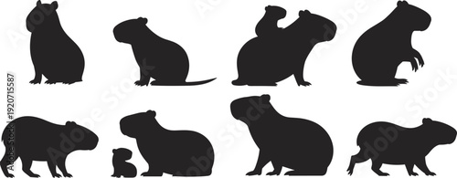 Capybara silhouette set flat vector illustration, cute giant rodent animal family poses isolated on white background for wildlife design