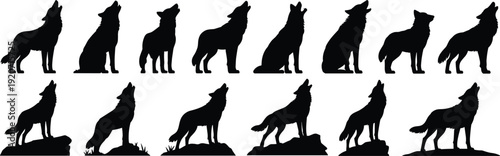 Wolf howling silhouette collection flat vector illustration, wild animal poses set isolated on white background for nature design