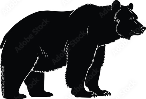 Bear silhouette vector illustration, black white clipart of wildlife animal standing realistic fur claws design, nature artwork bundle for forest themes