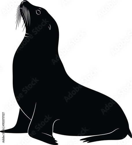 Sea lion silhouette vector illustration, black white clipart of marine animal sitting pose whiskers design, wildlife artwork bundle for ocean themes