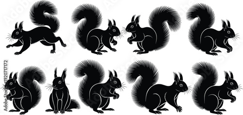 Squirrel silhouette vector illustration set, black white clipart of woodland animal poses bushy tail design, wildlife artwork bundle for forest themes