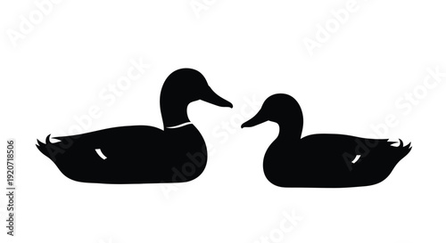 Two black ducks facing each other a striking silhouette