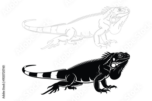 Iguana Reptile Silhouette and Outline Isolated