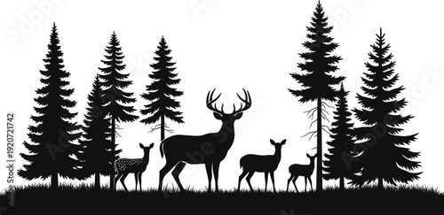 Black silhouette of a majestic male deer buck with large antlers standing with a family of does and fawns in a dense evergreen pine forest landscape with grass isolated on white background