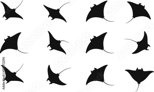 Manta ray silhouette collection featuring various species of stingrays swimming in the ocean for marine wildlife nature conservation nautical underwater sea animal vector set