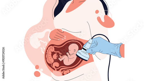 Medical illustration showing an ultrasound scan of a fetus in a pregnant woman's womb for prenatal care and healthcare theme.