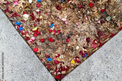 Colorful flower petals on ground with sidewalk