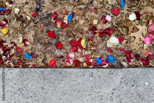 Colorful flower petals on ground with sidewalk