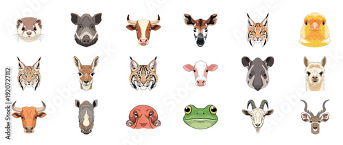 Collection of diverse animal faces including cow, frog, and giraffe