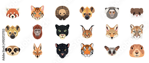 Illustrated animal faces: tiger, hyena, meerkat, gorilla, panda, lynx