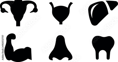 Anatomical silhouette illustrations of organs and body parts