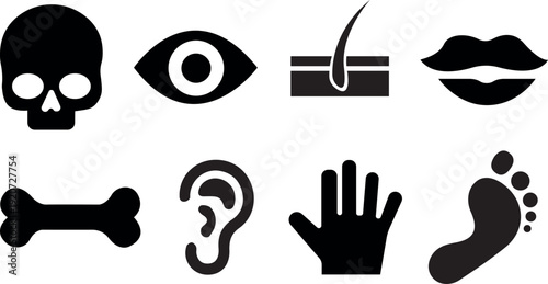 Human Body Parts Anatomy Icons Set - Medical and Biological Silhouettes