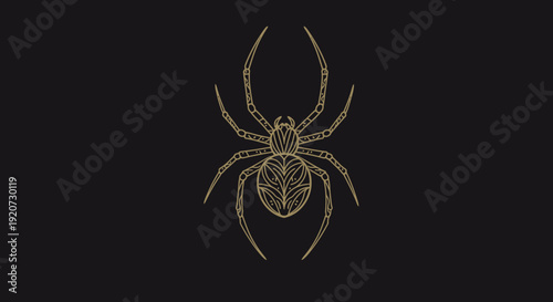 Elegant Golden Spider Illustration Detailed Ornate Design on Dark Background