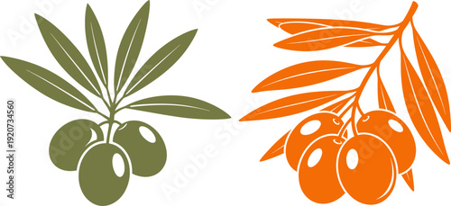 Fresh olives branch green and orange harvest healthy natural fruit organic ingredient ripe plant