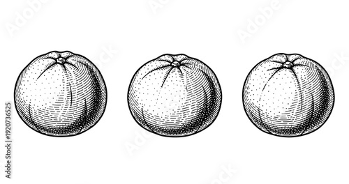 Vintage etching of three oranges in a row with detailed crosshatch texture